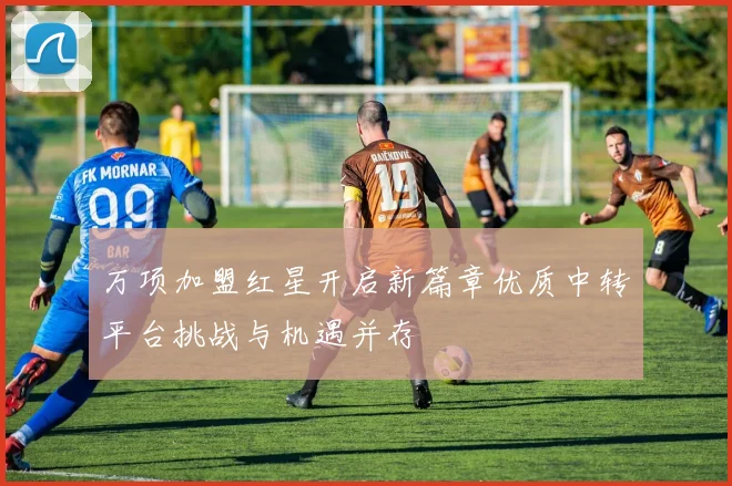 万项加盟红星开启新篇章优质中转平台挑战与机遇并存