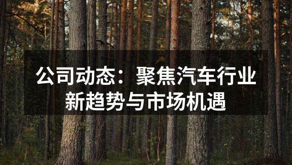 新兴电动车市场的商机
